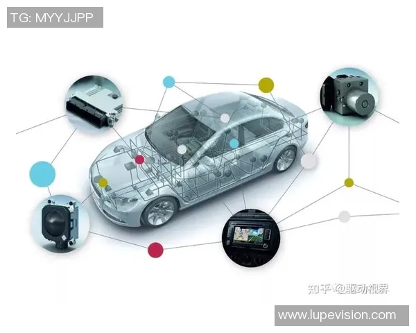 武汉排球队的转型之路与未来发展趋势深度解析