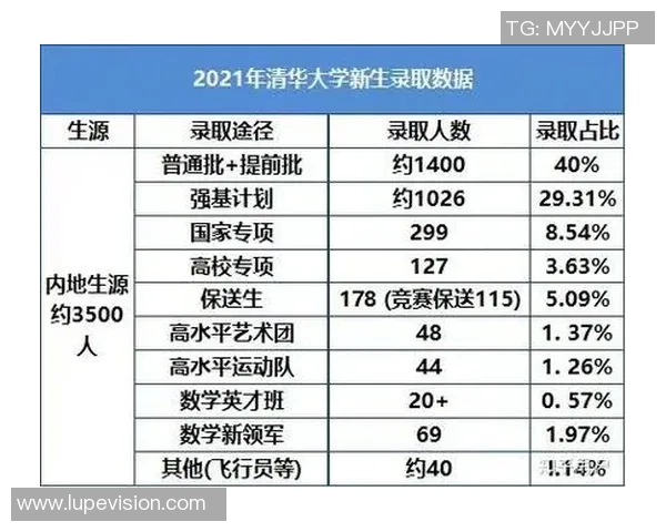 深圳排球队个人能力排名创新高展现新一轮竞技实力与团队协作精神