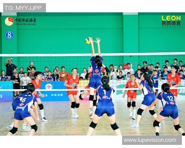 深圳排球队总决赛精彩表现分析与未来展望