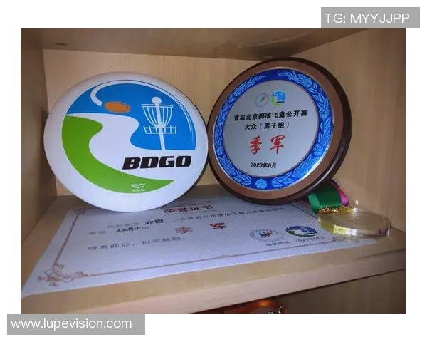 2026飞盘状态排行榜：深圳飞盘队位居第7名